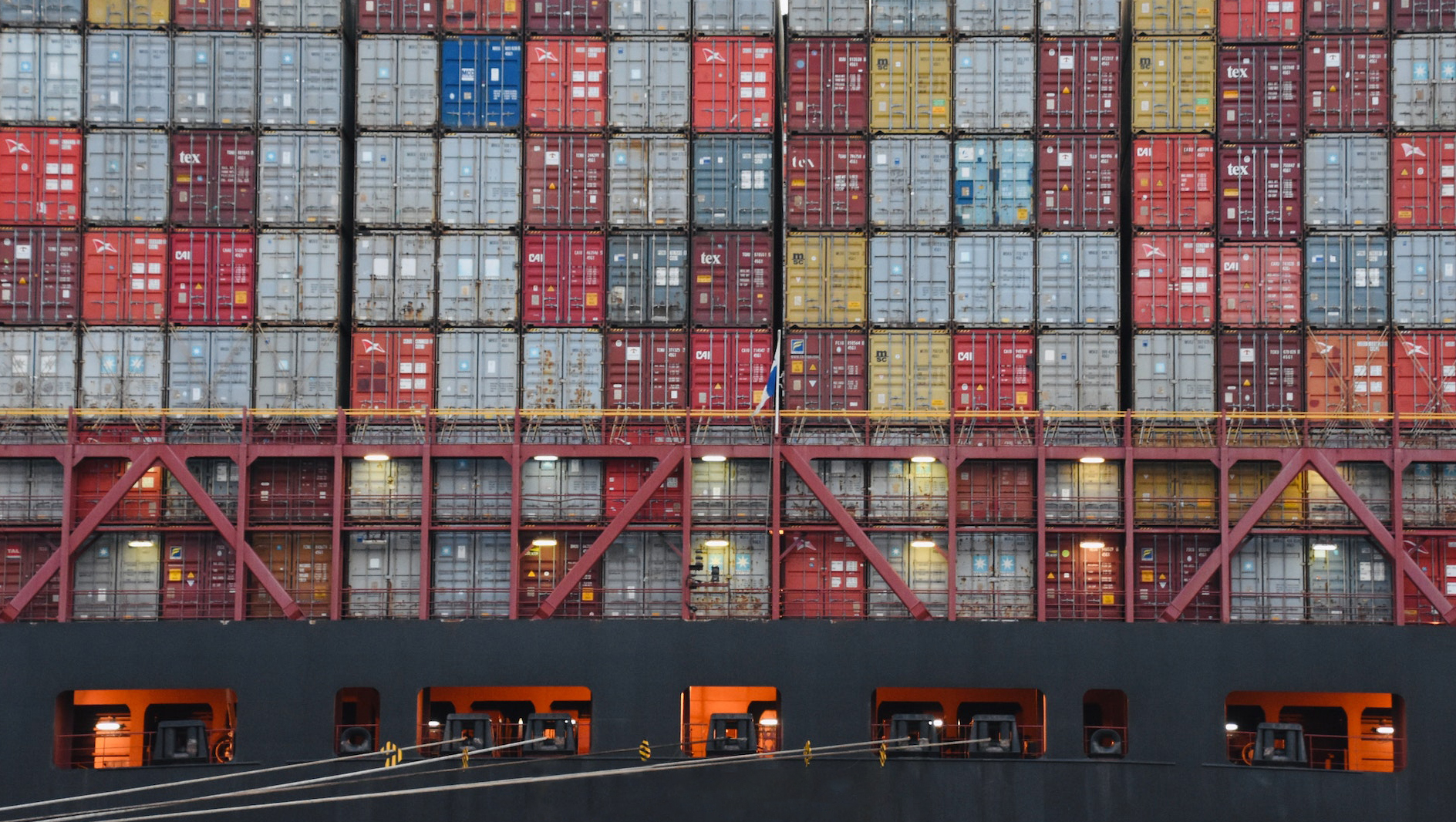 Empowering Importers with Coimex